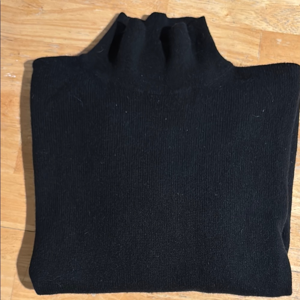 Everlane cashmere boxy turtleneck sweater